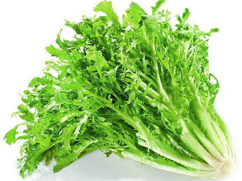 食材配送從生產(chǎn)、采摘再到蔬菜配送無(wú)縫銜接
